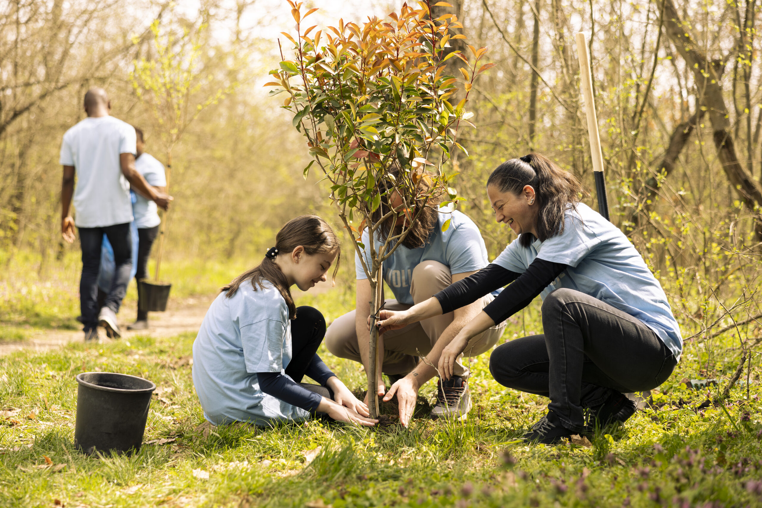 Volunteers and a little kid planting tree and covering hole in the ground, contributing to reforestation and increasing vegetation in the woods. Dedicated people working together for the nature.